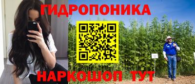 хмурый Будённовск
